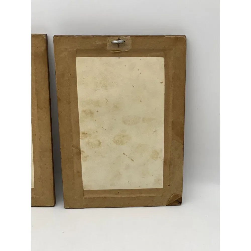 Pair Of Vintage Feather Art Bird Paintings In Carved Wooden Frames